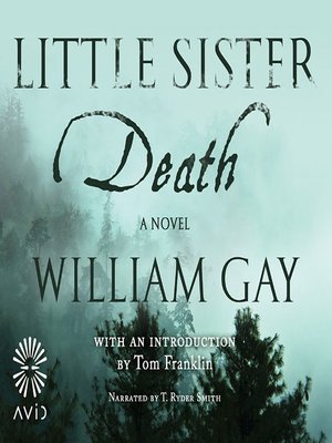cover image of Little Sister Death